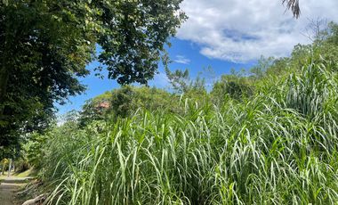 LOTE EN VENTA EN SECTOR BELMONTE/PEREIRA