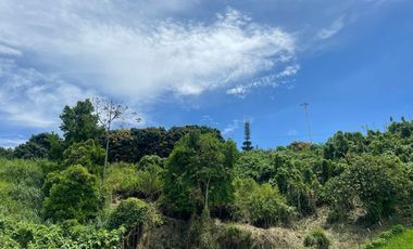 LOTE EN VENTA EN SECTOR BELMONTE/PEREIRA