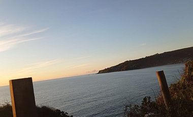 SECTOR DE NIEBLA