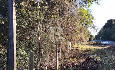 PARCELA 9.500M2 ORILLA CARRETERA CON BORDE LAGO EN CASCADAS