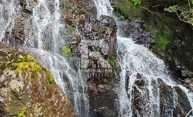PARCELAS CON  VISTA AL LAGO LLANQUIHUE EN BOSQUE MIRADOR