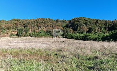 PARCELAS CON  VISTA AL LAGO LLANQUIHUE EN BOSQUE MIRADOR