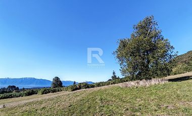 PARCELAS CON  VISTA AL LAGO LLANQUIHUE EN BOSQUE MIRADOR