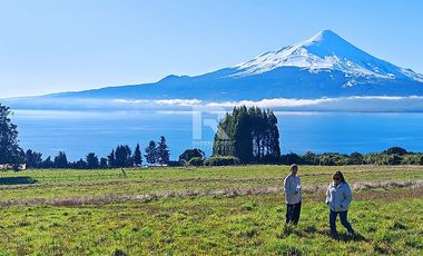 PARCELAS CON  VISTA AL LAGO LLANQUIHUE EN BOSQUE MIRADOR