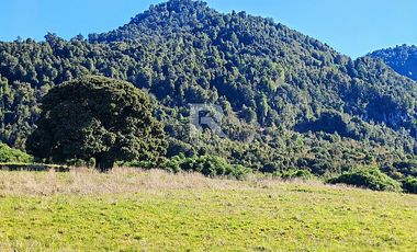 PARCELAS CON  VISTA AL LAGO LLANQUIHUE EN BOSQUE MIRADOR