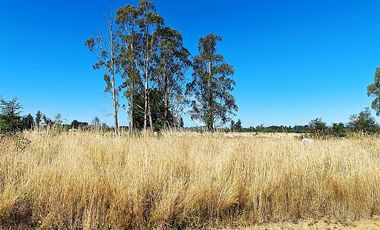 PARCELA EN RESERVA FRUTILLAR