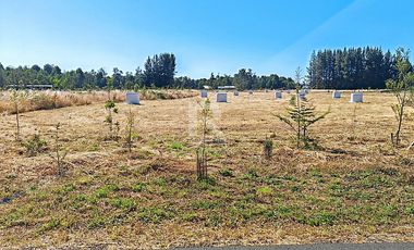 PARCELA EN RESERVA FRUTILLAR