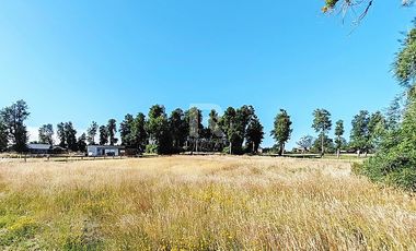 HERMOSA PARCELA CON PRADERA Y BOSQUE EN LOMAS DEL SUR