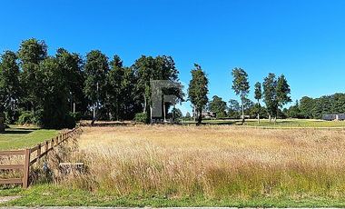 HERMOSA PARCELA CON PRADERA Y BOSQUE EN LOMAS DEL SUR