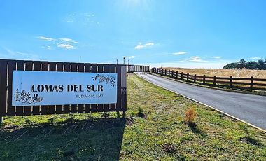 HERMOSA PARCELA CON PRADERA Y BOSQUE EN LOMAS DEL SUR