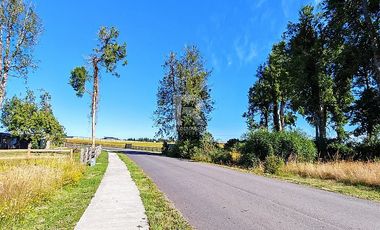 HERMOSA PARCELA CON PRADERA Y BOSQUE EN LOMAS DEL SUR