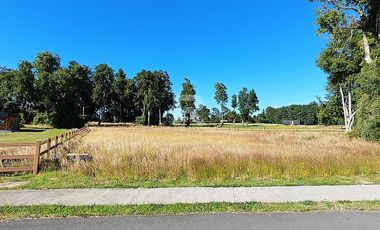 HERMOSA PARCELA CON PRADERA Y BOSQUE EN LOMAS DEL SUR