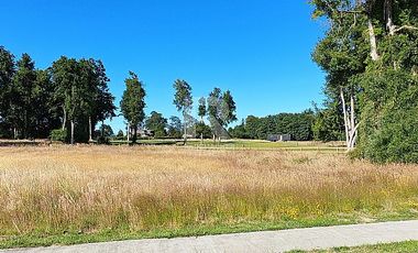 HERMOSA PARCELA CON PRADERA Y BOSQUE EN LOMAS DEL SUR