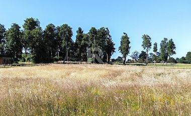 HERMOSA PARCELA CON PRADERA Y BOSQUE EN LOMAS DEL SUR