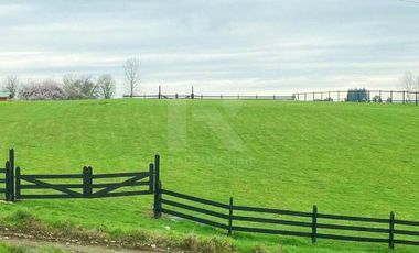 PARCELA CONDOMINIO LOS COPIHUES A 15MIN DE PUERTO VARAS.