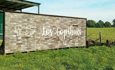 PARCELA CONDOMINIO LOS COPIHUES A 15MIN DE PUERTO VARAS.