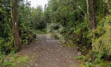 PARCELA CON BOSQUE Y ORILLA DE RIO