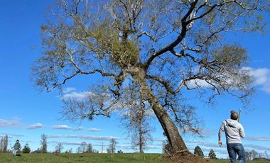 EXCLUSIVAS PARCELAS CON ORILLA RIO RAHUE A 10MIN DE OSORNO