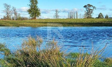 EXCLUSIVAS PARCELAS CON ORILLA RIO RAHUE A 10MIN DE OSORNO