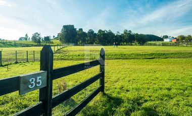 PARCELA EN CONDOMINIO TERRAZAS DEL MAULLIN EN LINEA NUEVA