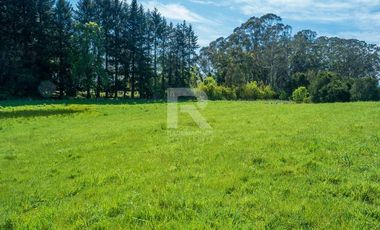 PARCELAS COMERCIALES, ORILLA CAMINO ENSENADA