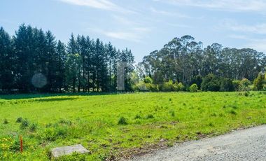 PARCELAS COMERCIALES, ORILLA CAMINO ENSENADA