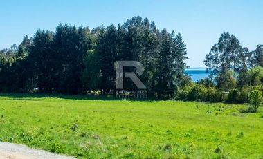 PARCELAS COMERCIALES, ORILLA CAMINO ENSENADA