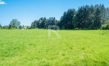 PARCELAS COMERCIALES, ORILLA CAMINO ENSENADA