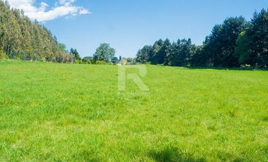 PARCELAS COMERCIALES, ORILLA CAMINO ENSENADA