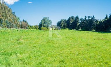 PARCELAS COMERCIALES, ORILLA CAMINO ENSENADA