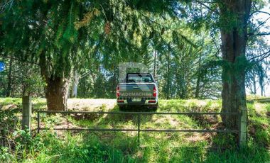 PARCELAS COMERCIALES, ORILLA CAMINO ENSENADA