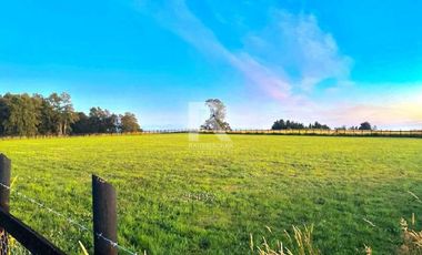 PARCELAS URBANIZADAS, SECTOR BRAUNAU, A 12MIN DEL CENTRO