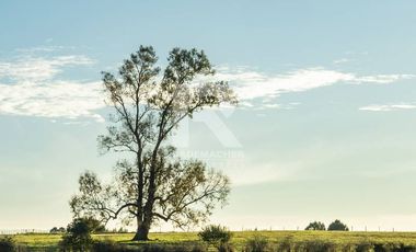 PARCELAS URBANIZADAS, SECTOR BRAUNAU, A 12MIN DEL CENTRO