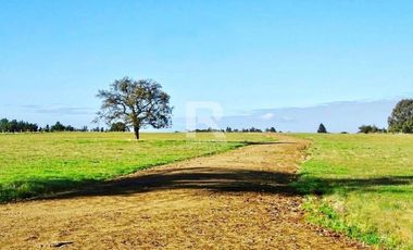PARCELAS URBANIZADAS, SECTOR BRAUNAU, A 12MIN DEL CENTRO