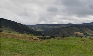 VENDO FINCA EN SAN JOSE DE LA MONTAÑA