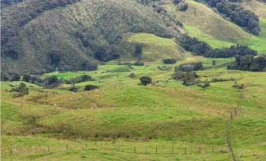 VENDO FINCA EN SAN JOSE DE LA MONTAÑA