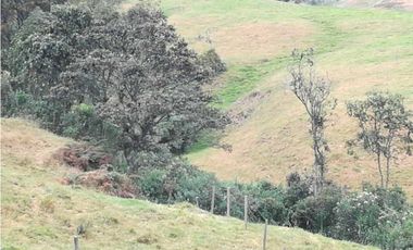 VENDO FINCA EN SAN JOSE DE LA MONTAÑA