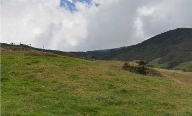 VENDO FINCA EN SAN JOSE DE LA MONTAÑA