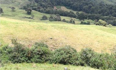 VENDO FINCA EN SAN JOSE DE LA MONTAÑA