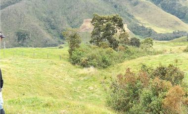 VENDO FINCA EN SAN JOSE DE LA MONTAÑA