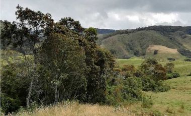 VENDO FINCA EN SAN JOSE DE LA MONTAÑA