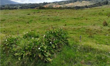 VENDO FINCA EN SAN JOSE DE LA MONTAÑA