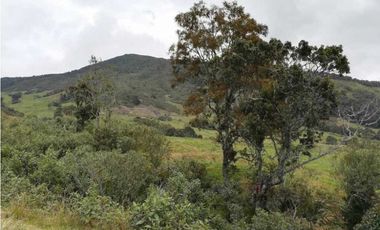 VENDO FINCA EN SAN JOSE DE LA MONTAÑA
