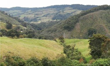 VENDO FINCA EN SAN JOSE DE LA MONTAÑA