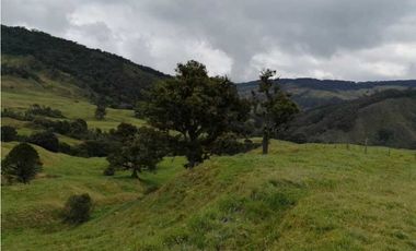 VENDO FINCA EN SAN JOSE DE LA MONTAÑA