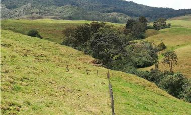 VENDO FINCA EN SAN JOSE DE LA MONTAÑA