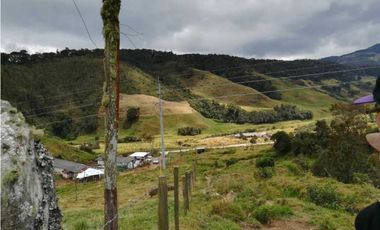 VENDO FINCA EN SAN JOSE DE LA MONTAÑA