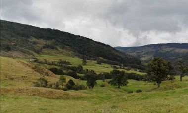 VENDO FINCA EN SAN JOSE DE LA MONTAÑA