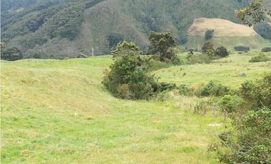 VENDO FINCA EN SAN JOSE DE LA MONTAÑA