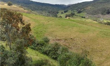VENDO FINCA EN SAN JOSE DE LA MONTAÑA